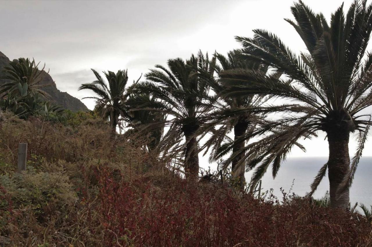 Oasis Atlántico: rincón secreto al pie de los senderos Azano Exterior foto